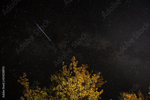 A shooting star in the night starry sky and a tree in the foreground © Artbovich