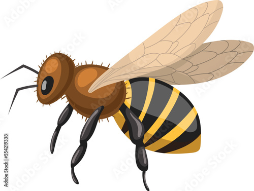 bee honey cartoon. pollen nature flower, insect yellow fly, field spring bee honey vector illustration
