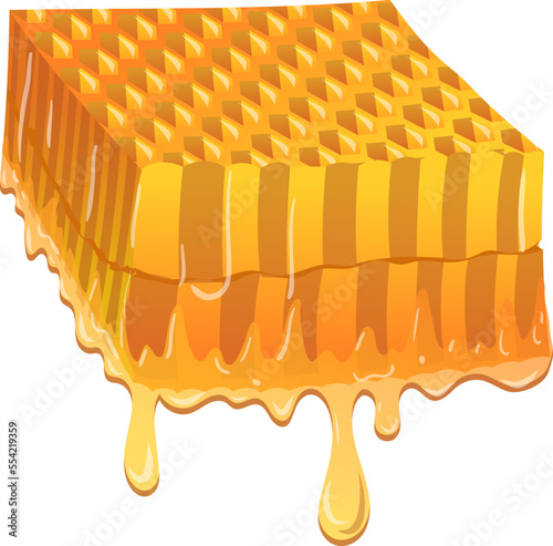 honeycomb cartoon. honey beeswax, propolis bee, sweet drop honeycomb vector illustration