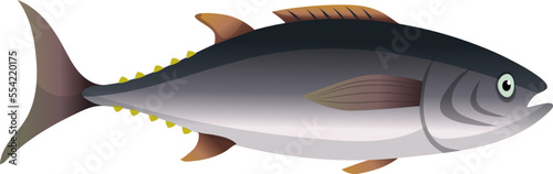 tuna fish cartoon. freash raw, sea food, blue ocean piecem fillet steak tuna fish vector illustration