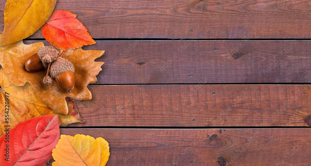 Obraz premium Colorful dry fall leaves on the desk
