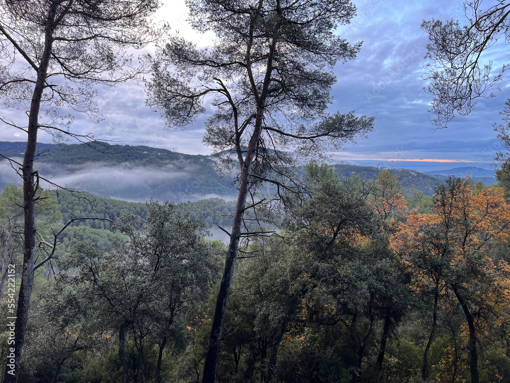 Landscape in the forest of the Collserola natural park on a rainy morning in the fall in Barcelona Landscape in the forest of the Collserola natural park on a rainy morning in the fall in Barcelona