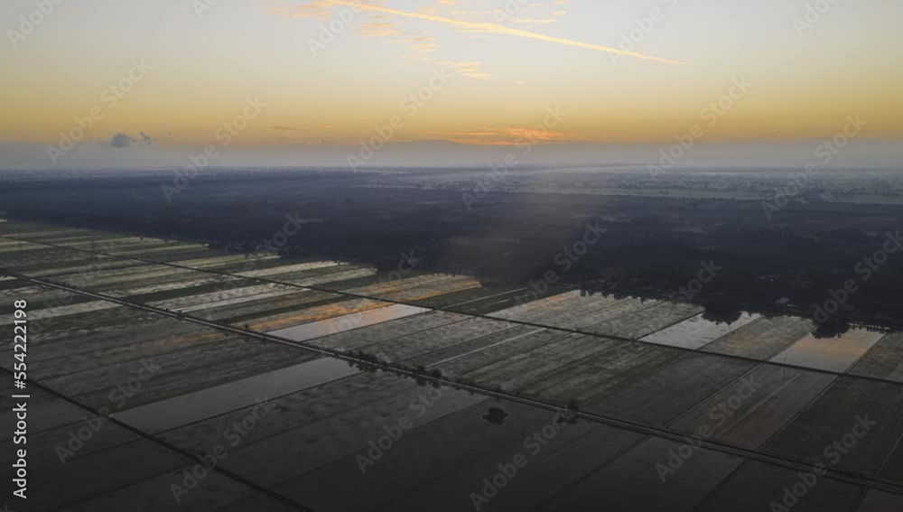 Rice field from aerial view with an abandoned floating house in Sungai Sireh, Selangor, Malaysia at sunrise. Prores Full HD Timelapse. Rice field from aerial view with an abandoned floating house in Sungai Sireh, Selangor, Malaysia at sunrise. Prores Full HD Timelapse.