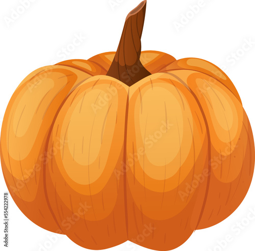 pumpkin orange cartoon. halloween vegetable, autumn jack, fresh lantern pumpkin orange vector illustration