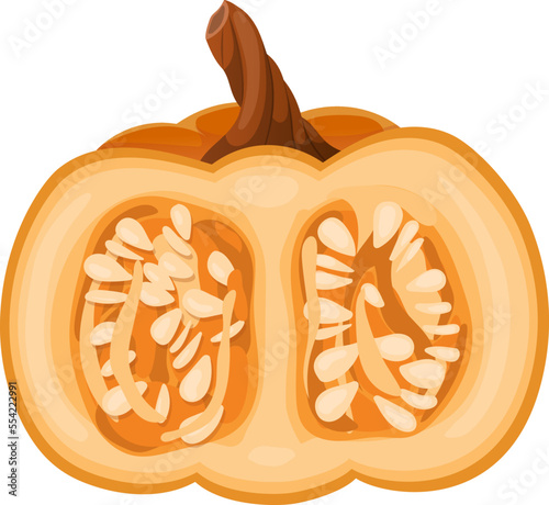 pumpkin cut cartoon. slice autumn, piece food, squash, open top seed pumpkin cut vector illustration