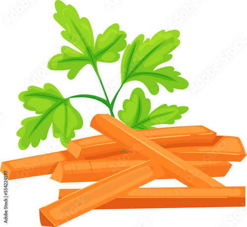 carrot cut cartoon. vegetable food, orange ingredient, raw slice, healthy organic vitamin, diet carrot cut vector illustration