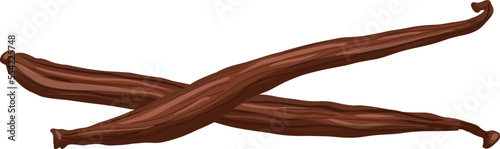 vanilla stick cartoon. flavor ingredient, food white, spice aromatic, aroma pod, bean natural, nature orchid, brown blossom vanilla stick vector illustration