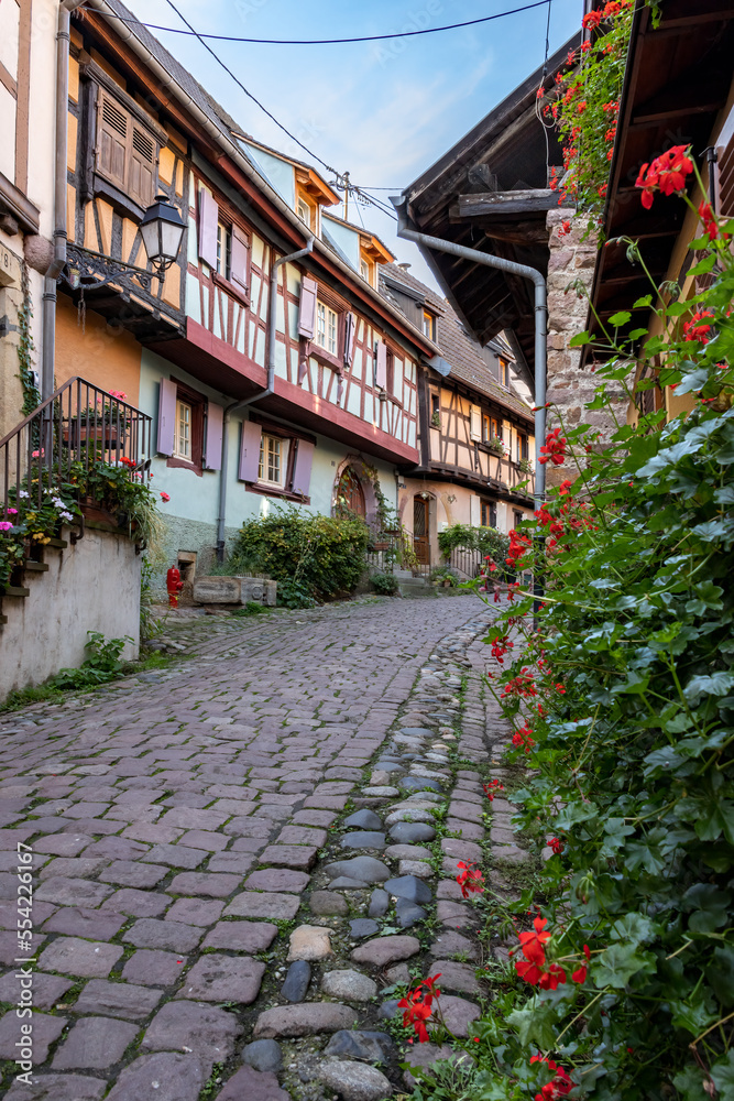 Alley with old half-timbered houses decorated with flowers. Eguisheim, France, Europe