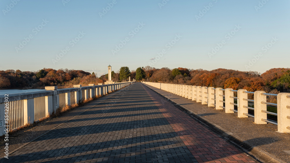 一本橋/bridge in autumn