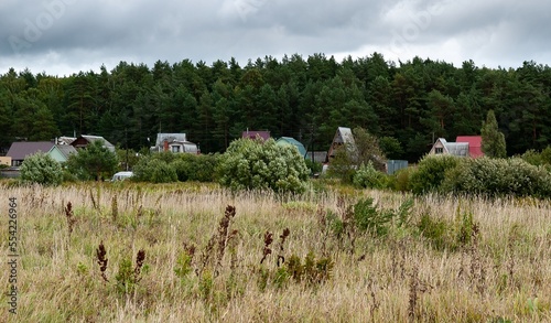 The street of the country village. Small colorful houses, against the background of the forest. In front of the village is a wild field, meadow. Vladimir region, Russia.