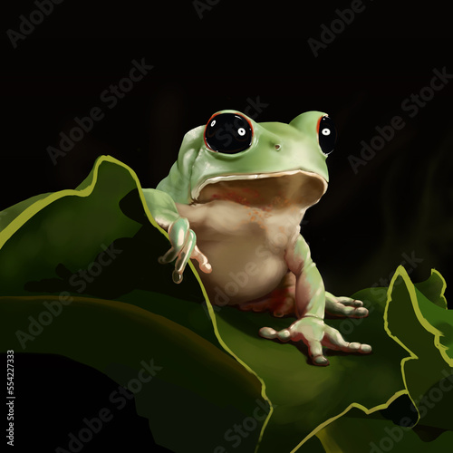 Green tree frog on a leaf, illustration on the black background, digital art (ID: 554227333)