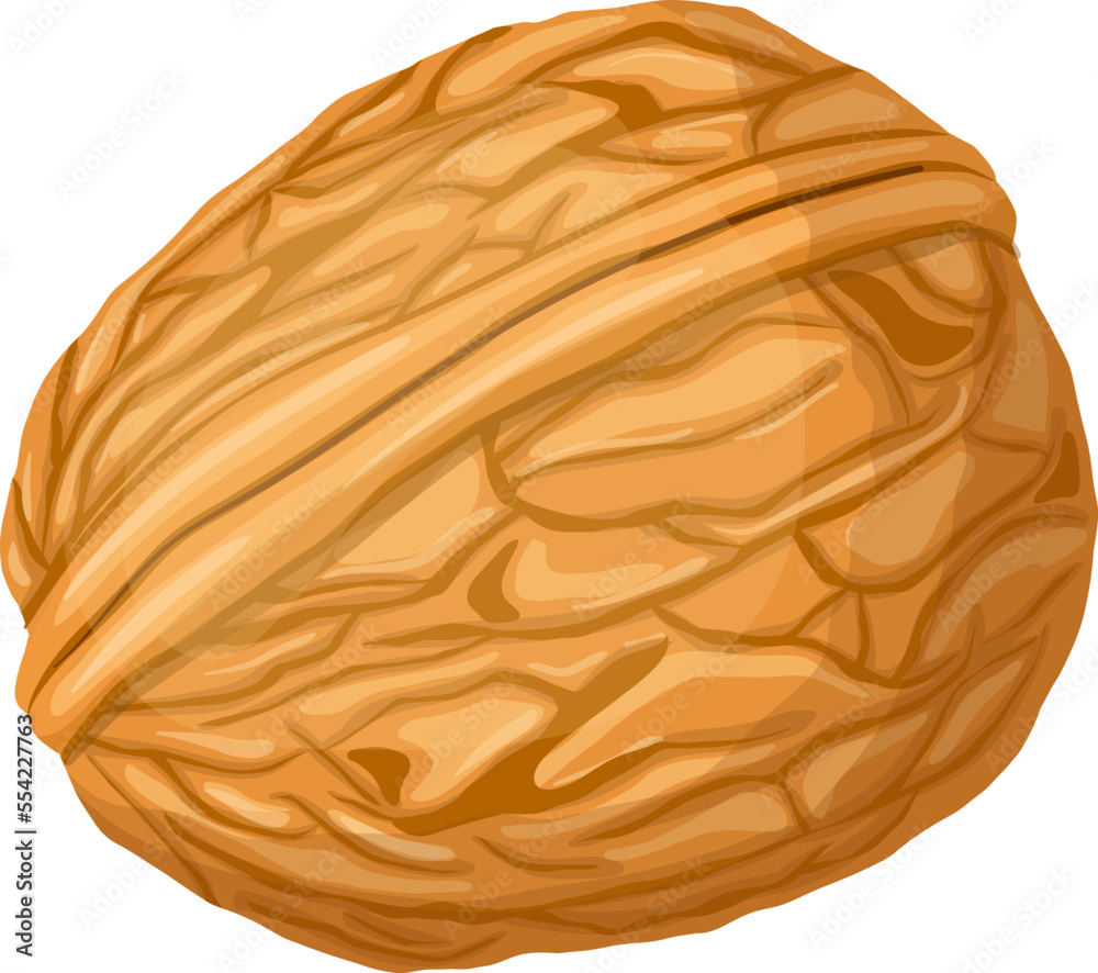 walnut nut cartoon. food ingredient, seed closeup, snack raw, fruit healthy, brown kernel, natural organic walnut nut vector illustration walnut nut cartoon. food ingredient, seed closeup, snack raw, fruit healthy, brown kernel, natural organic walnut nut vector illustration