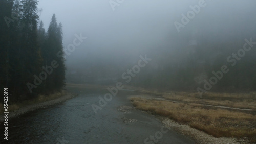 Picturesque landscape with a river and coniferous forest covered by fog. Clip. Autumn background in natural reserve.
