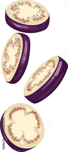 eggplant slice cartoon. purple fresh, plant food, organic healthy, agriculture brinjal garden, raw viole eggplant slice vector illustration