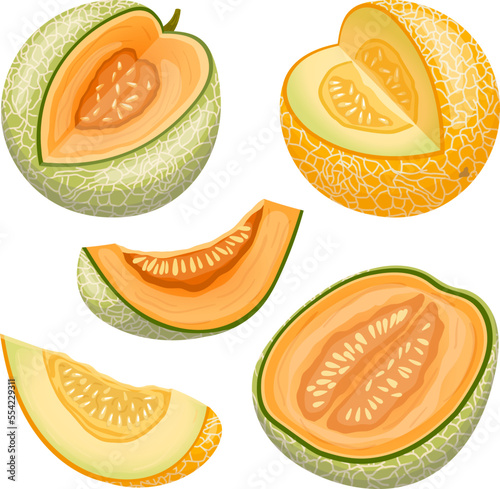 melon cantaloupe fruit set cartoon. green yellow, sweet orange, honeydew cut, japanese slice, muskmelon honey food, half fresh melon cantaloupe fruit vector illustration