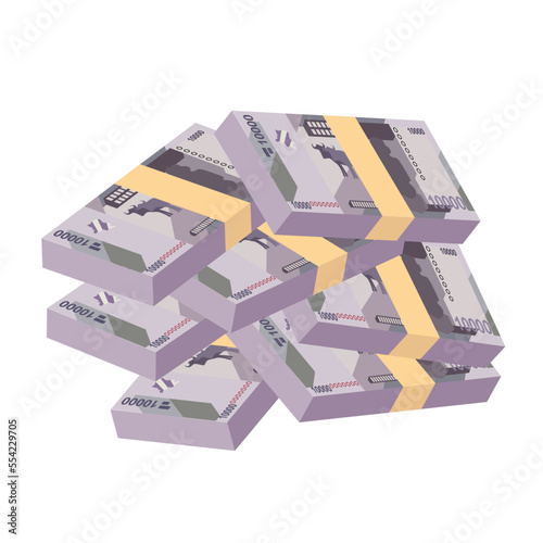 Congolese Franc Vector Illustration. Congo money set bundle banknotes. Paper money 10000 CDF. Flat style. Isolated on white background. Simple minimal design. photo