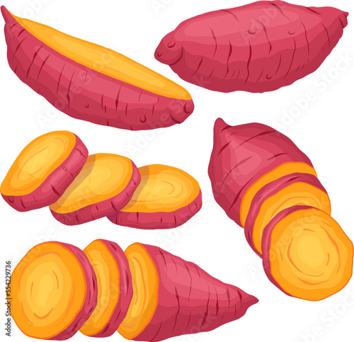 sweet potato orange set cartoon. food yam, raw vegetable, healthy root, cut organic, fresh red, top slice, diet agriculture ingredient sweet potato orange vector illustration