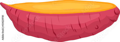 sweet potato cut cartoon. food root, raw orange, vegetable red, organic healthy, slice yellow, crop sweet potato cut vector illustration