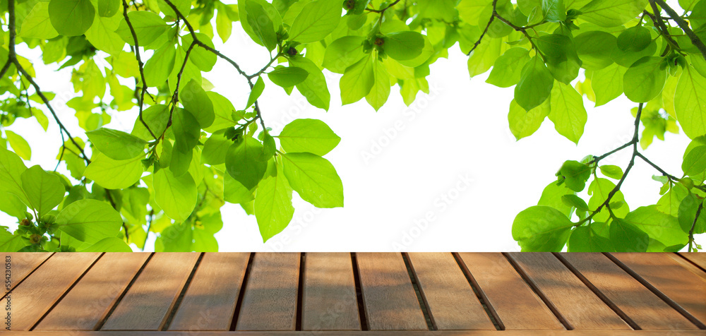 wooden table with forest bokeh banner wooden table with forest bokeh banner