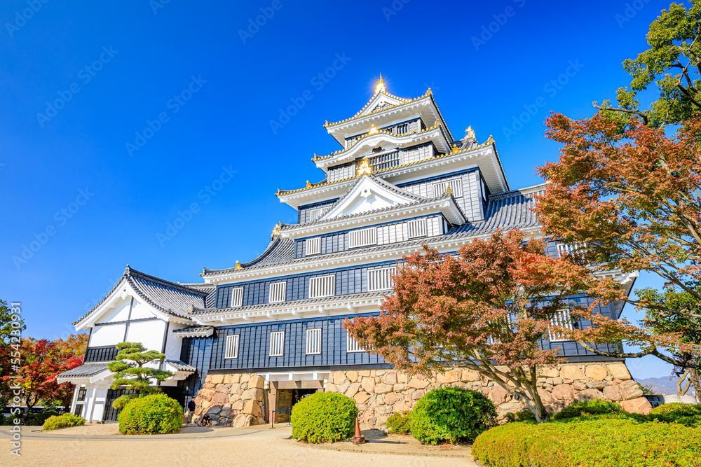 秋の岡山城 岡山県岡山市 Okayama Castle in autumn. Okayama prefecture, Okayama City. 秋の岡山城 岡山県岡山市 Okayama Castle in autumn. Okayama prefecture, Okayama City.