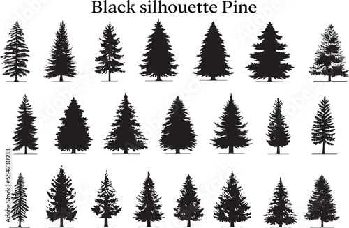 Foto pine tree silhouette, Christmas tree silhouettes, Douglas Fir tree silhouette
