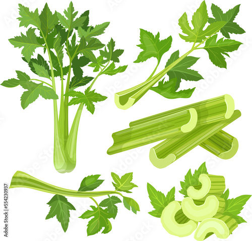 celery vegetable food set cartoon. stalk leaf, plant healthy, green juice, diet organic, vegetarian fresh, health salad, natural vitamin, ingredient celery vegetable food vector illustration