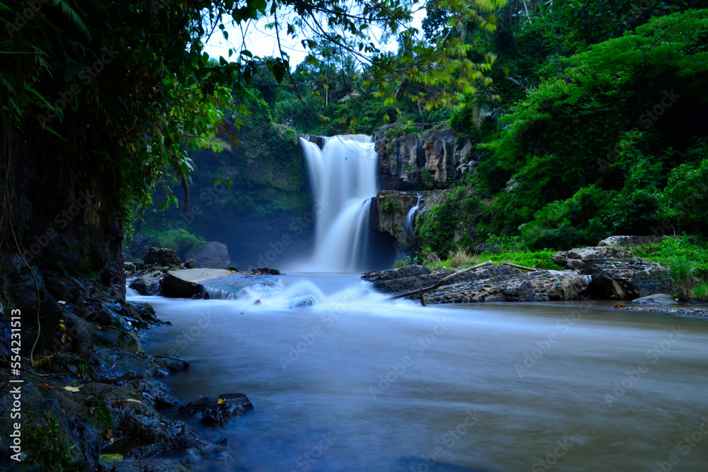 Obraz premium waterfall in the forest