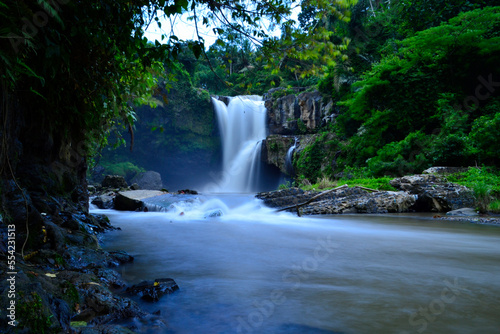 waterfall in the forest