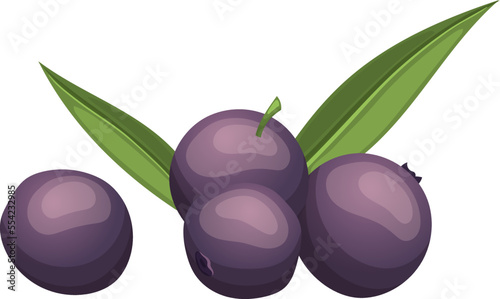 acai food fruit cartoon. berry organic, leaf tropical, brazilian fresh, nature agriculture energy, healthy acai food fruit vector illustration