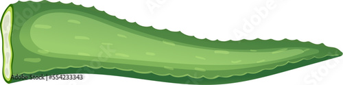 aloe vera leaf cartoon. plant fresh, beauty green, cosmetic gel, water cactus, organic care, slice aloe vera leaf vector illustration