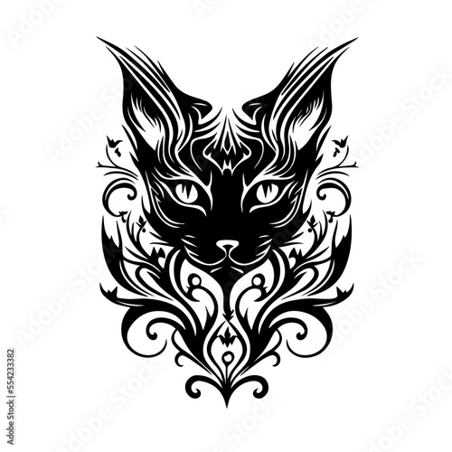 gatto 01