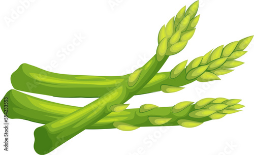 asparagus food cartoon. green healthy, spring plant, meal organic, salad cooked, delicious asparagus food vector illustration