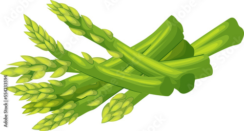 asparagus food cartoon. green healthy, spring plant, meal organic, salad cooked, delicious asparagus food vector illustration