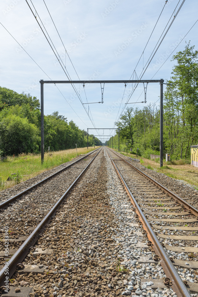 electric wired railway tracks landscape perspective green trees blue sky whiye clouds electric wired railway tracks landscape perspective green trees blue sky whiye clouds
