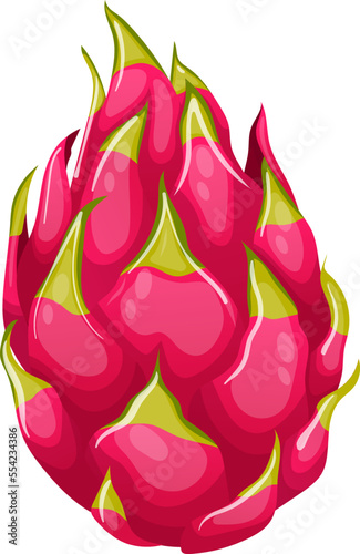 dragon fruit cartoon. food pink, organic pitahaya, red fresh, pitaya tropical, healthy sweet dragon fruit vector illustration