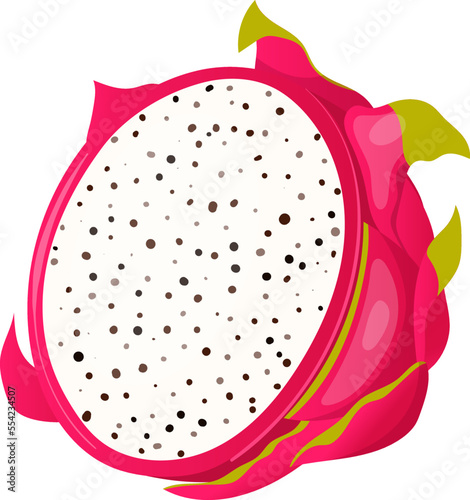 dragon fruit slice cartoon. pitaya, exotic, summer food, nature pink, vitamin vegetarian, tropical dragon fruit slice vector illustration