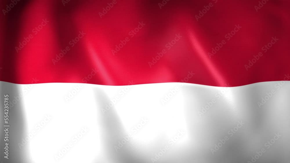 Animation of the Monacan flag. 4K. Monaco flag flying, Principality of Monaco flag render animation Animation of the Monacan flag. 4K. Monaco flag flying, Principality of Monaco flag render animation