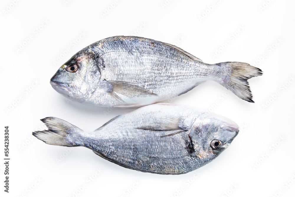 Two Sea Breams on a white background. Two fresh raw sea organic dorado or sea bream on a white background. Two Sea Breams on a white background. Two fresh raw sea organic dorado or sea bream on a white background.