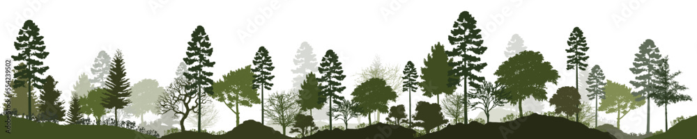 Forest silhouette trees. Vector illustration of every tree isolated. Evergreen forest side view green shadow, for seamless border, architecture and landscape design drawing. Forest silhouette trees. Vector illustration of every tree isolated. Evergreen forest side view green shadow, for seamless border, architecture and landscape design drawing.