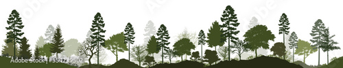 Forest silhouette trees. Vector illustration of every tree isolated. Evergreen forest side view green shadow, for seamless border, architecture and landscape design drawing. 