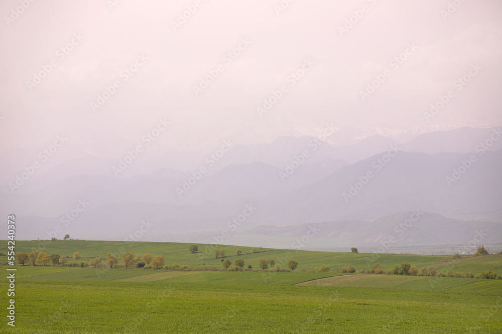 Clean flat green field.