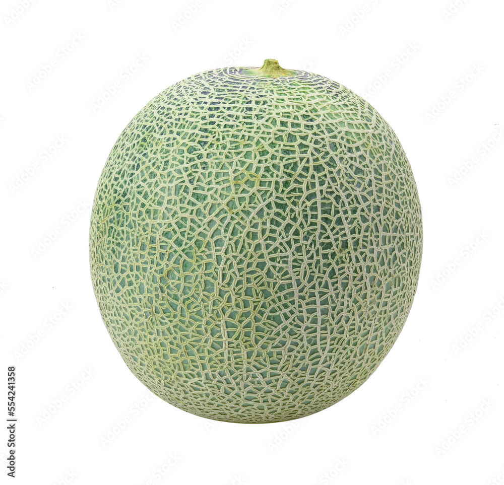melon isolated on transparent png melon isolated on transparent png