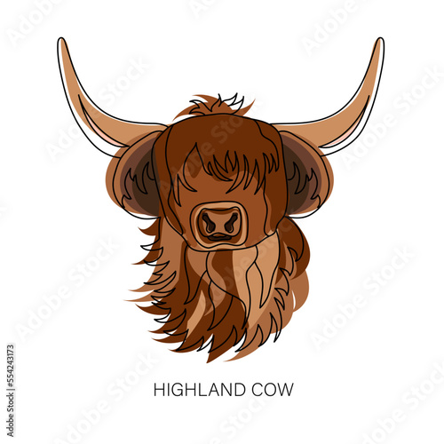Portrait of Highland cattle, cow. Cute head of Scottish cattle isolated on white background. Design element for logo, poster, card, banner, emblem, t shirt. Vector illustration.