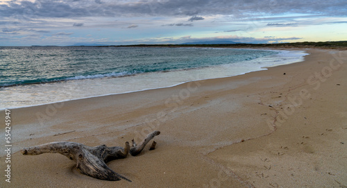 white sandy cove with turquoise water and driftwood on the west coast of Sardinia in evening light