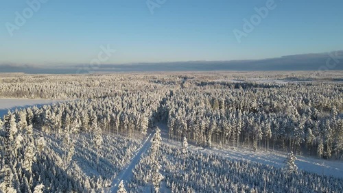 landscape with snow covered trees photo