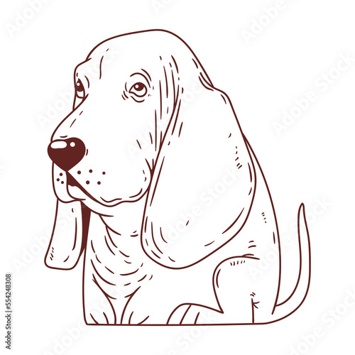 A Dog, vector logo design elements. Animal monochrome sketch. Pet shop logotype. Cartoon outline picture of a Basset Hound. A brand sign. A coloring book. Contour illustration for children's drawing.