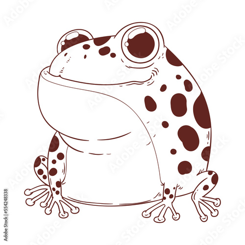 A Frog, vector logo design elements. Animal monochrome sketch. A zoo logotype. A smiling toad outline illustration. A brand sign. A coloring book. Contour illustration for children's home activity.