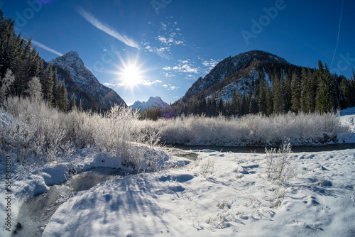 Snowy landscape