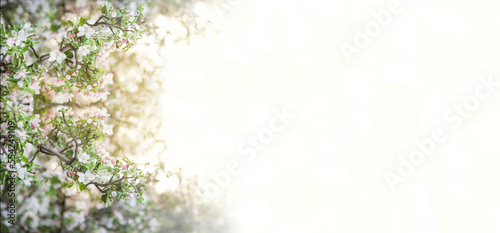 Spring abstract flowers background. copy space.