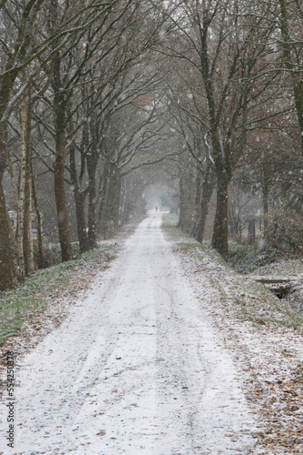 road in winter